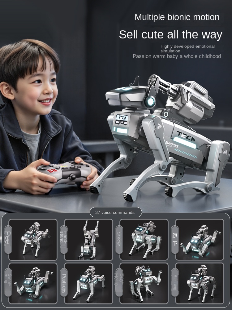 Controle met borstelloze motor - Remote Control Toys recensie en prijs