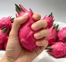 Handgemaakte simulatie pitaya  - Building Blocks recensie en prijs